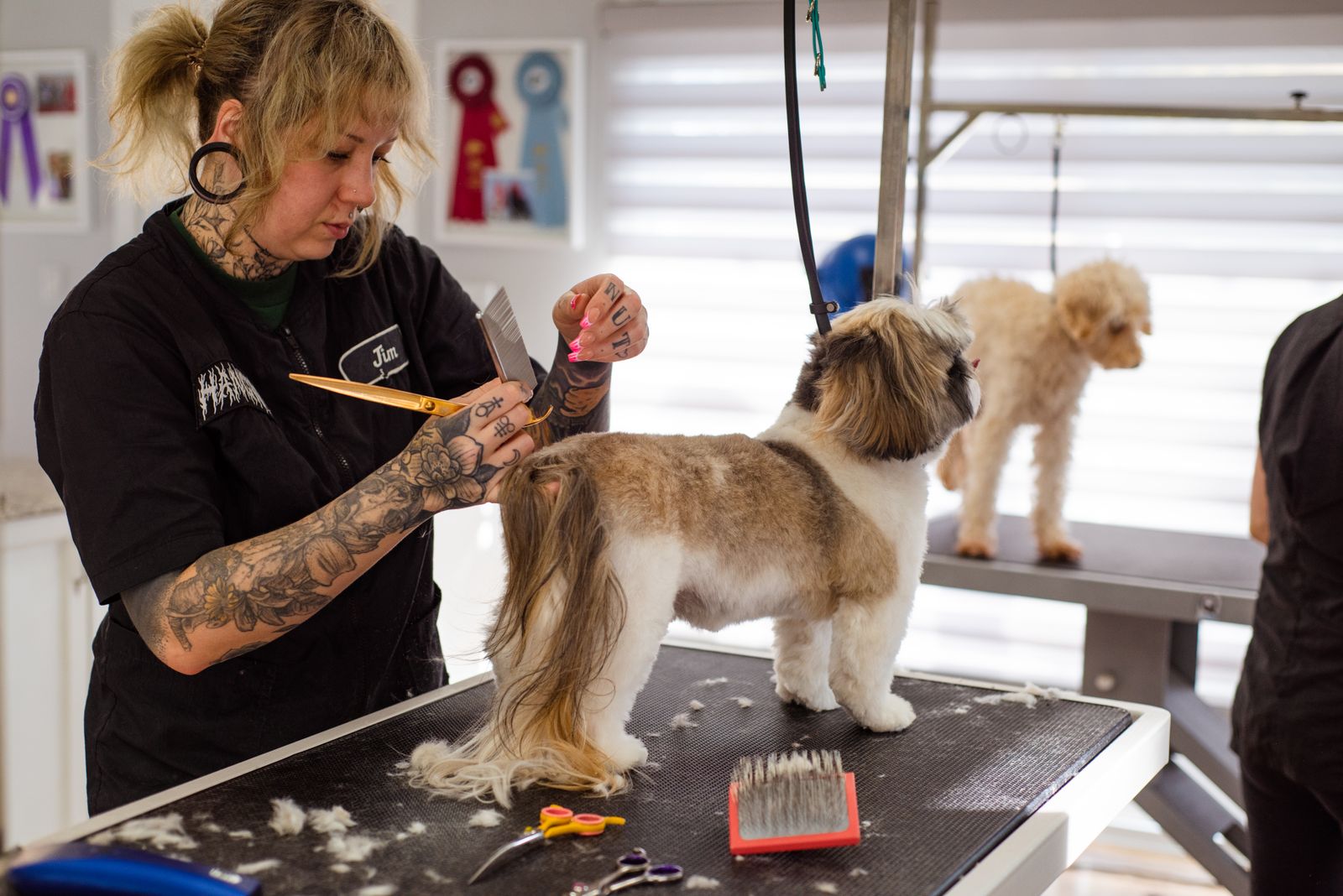 A groomer trims a small dog on a grooming table while a poodle waits on the next table